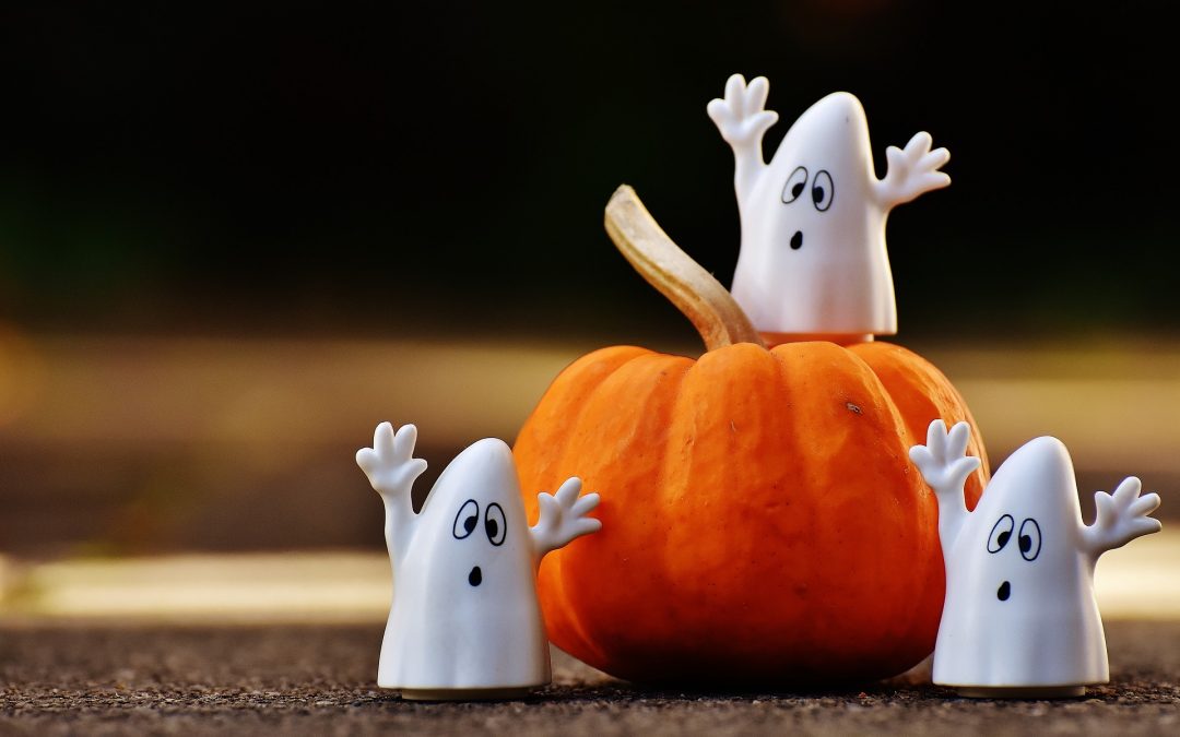 Préparation d’Halloween – Octobre 2017